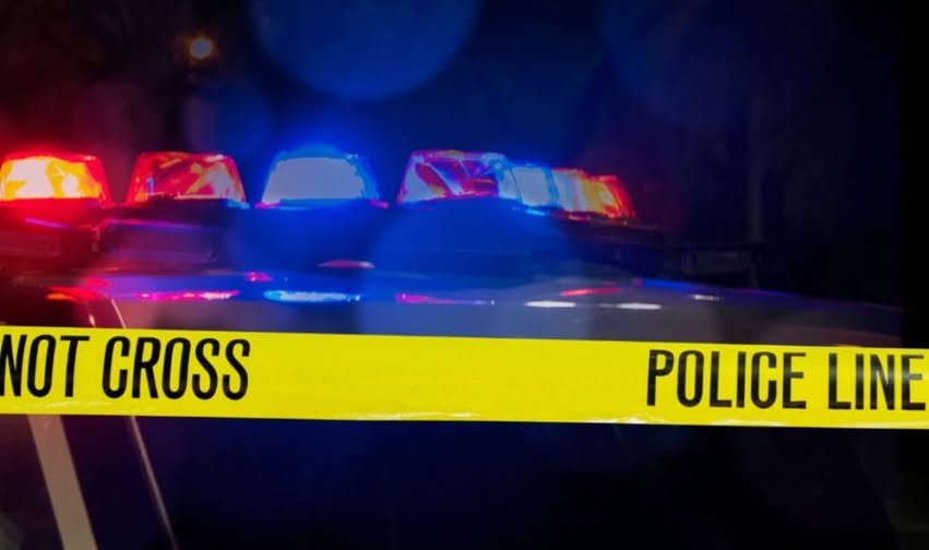 Amy Voight Murder Suicide San Diego CA, David Voight Death Obituary - Lake Murray Family of 3 Found Dead